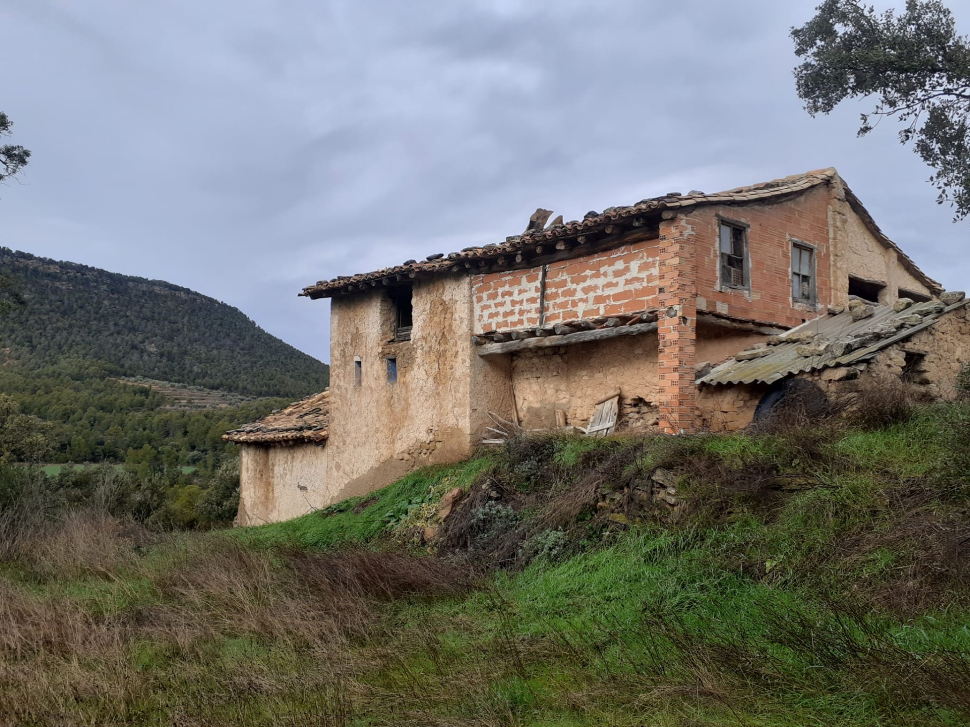 Imagen de la propiedad